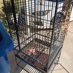Metal Bird Cage 