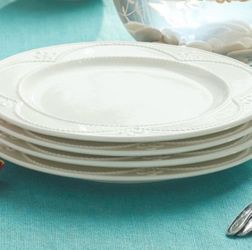 Princess House Dinner Plates