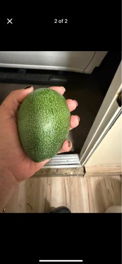 Avocados