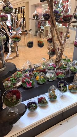 Best Black Friday!!!!! Today Only FREE Terrarium Necklace with Any Purchase..... plus Entire Cart Discounted!!!!! Beat the Holiday Rush on Original G