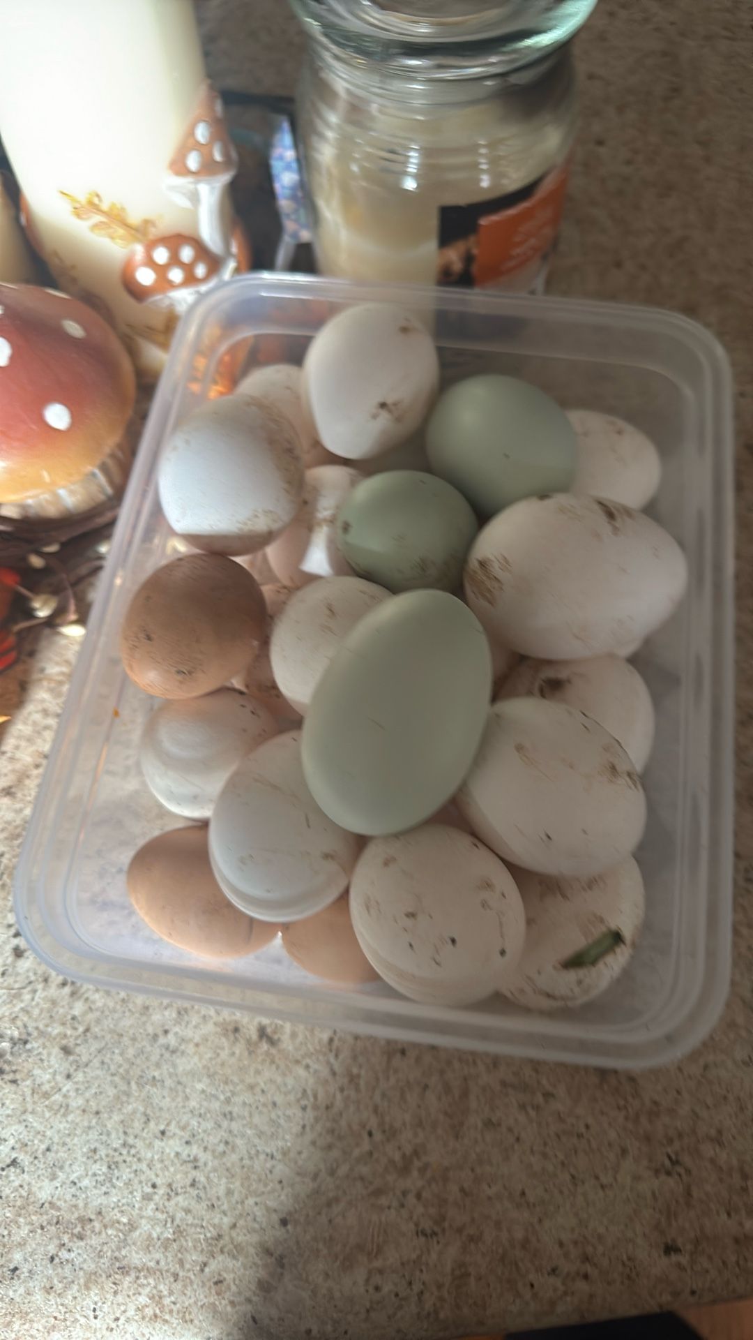 Free Dozen Eggs With Trade