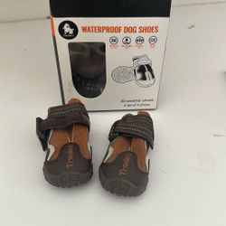 Dog Shoes