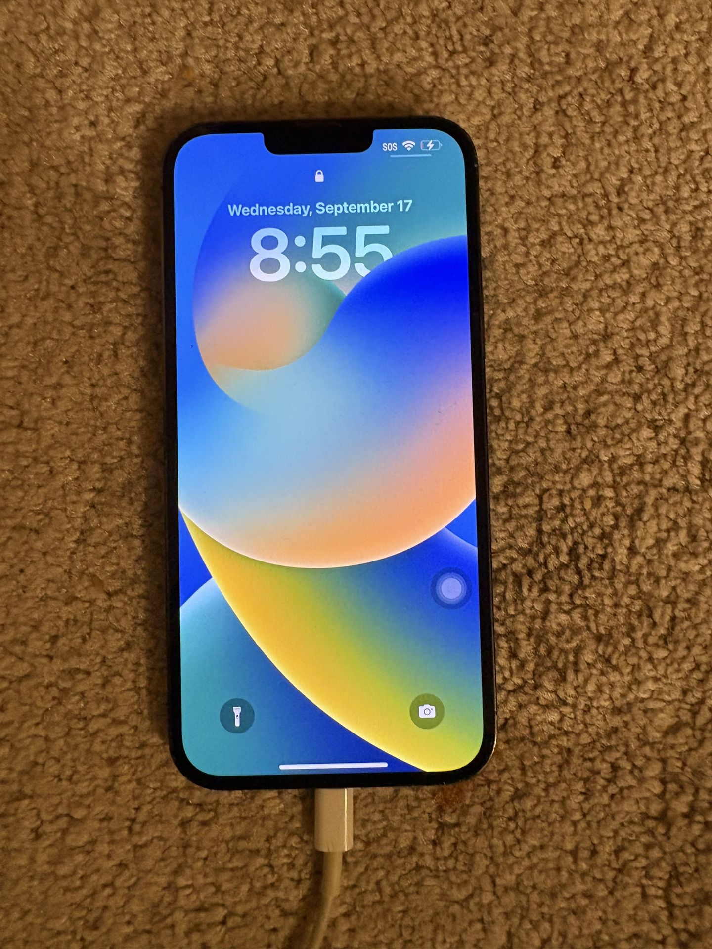 iPhone 13 Pro Max (Used)