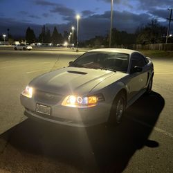 Mustang 99-04