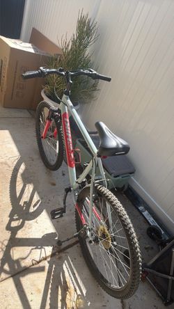 MOUNTAIN BIKE