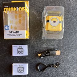 BITTY BOX MINIONS BLUETOOTH SPEAKER (USED)