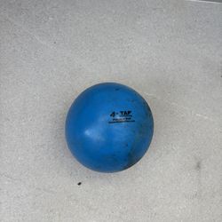 4 LBS TAP Weighted Medicine Ball