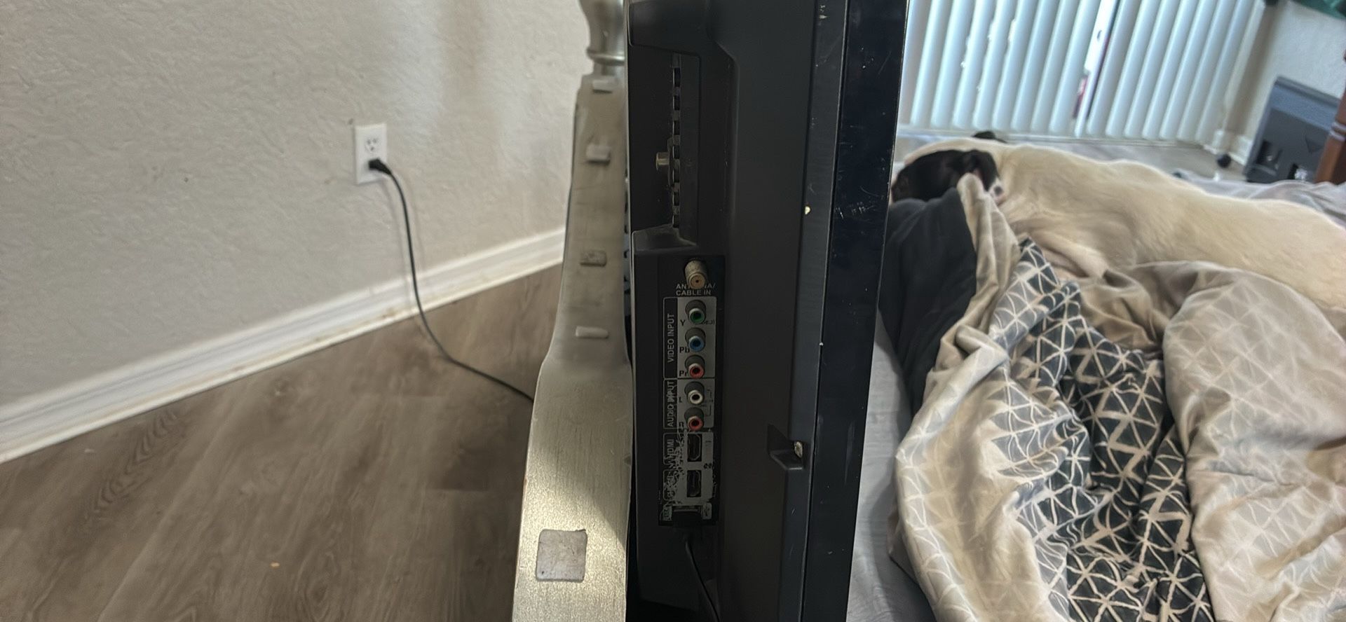 Television