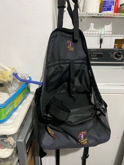 Pet car seat