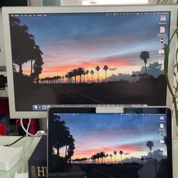 Apple LCD Cinema Display (20-inch, DVI) 