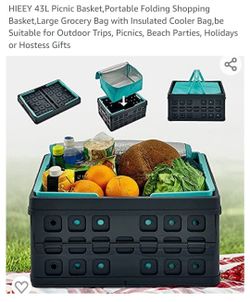 Insulated Picnic Basket - BRAND NEW - IN BOX 📦 