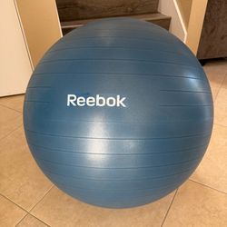 Reebok Weighted Ab Exercise Ball