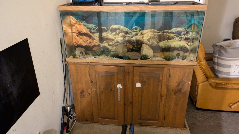 75 Gallon Fish Tank
