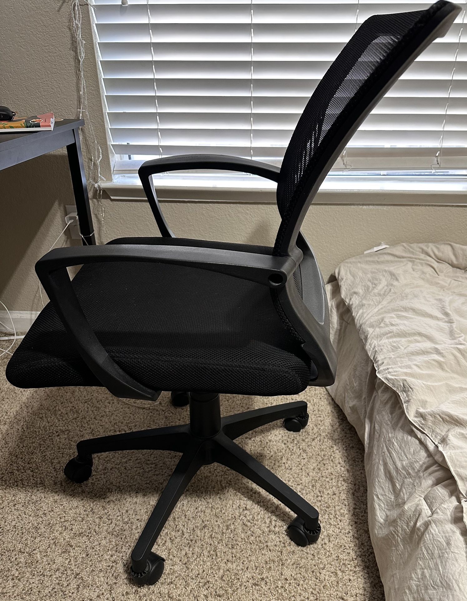 Chair and Organizer
