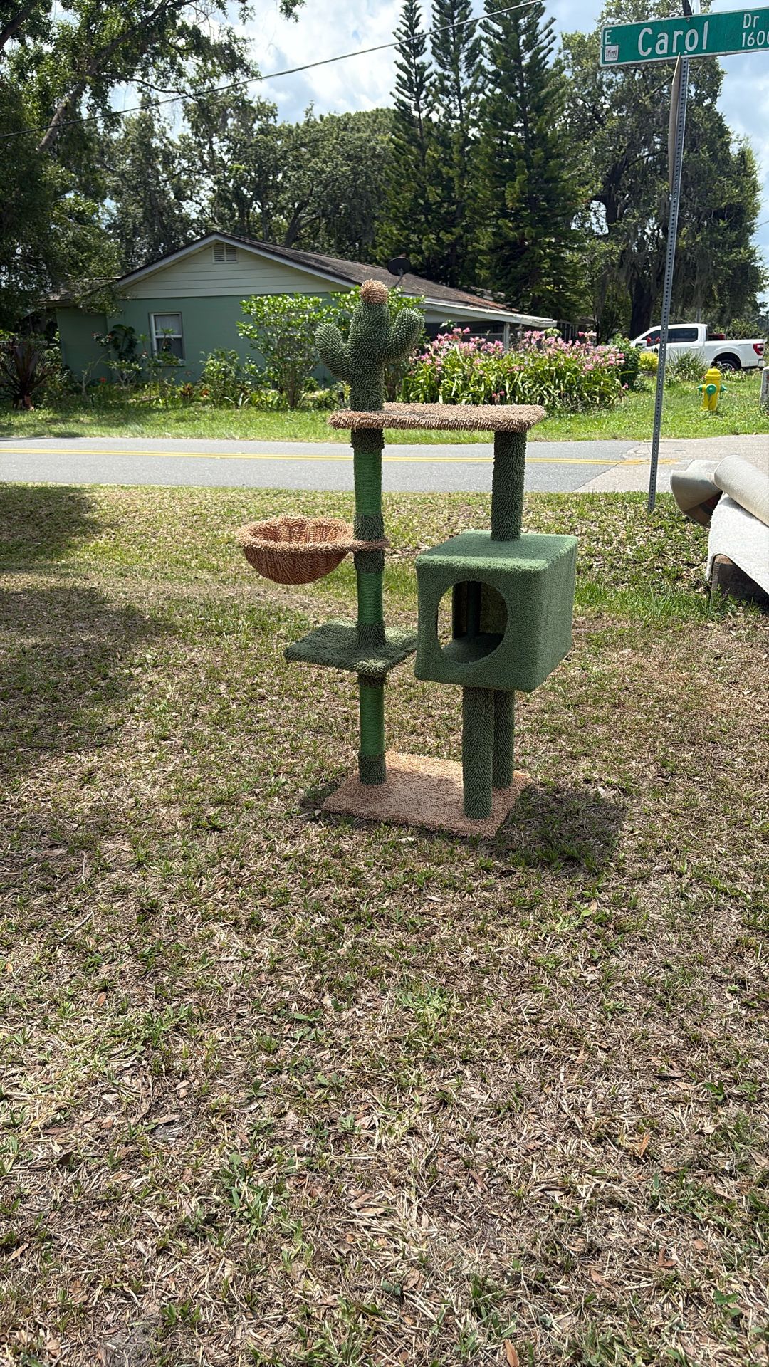 Cat Tower