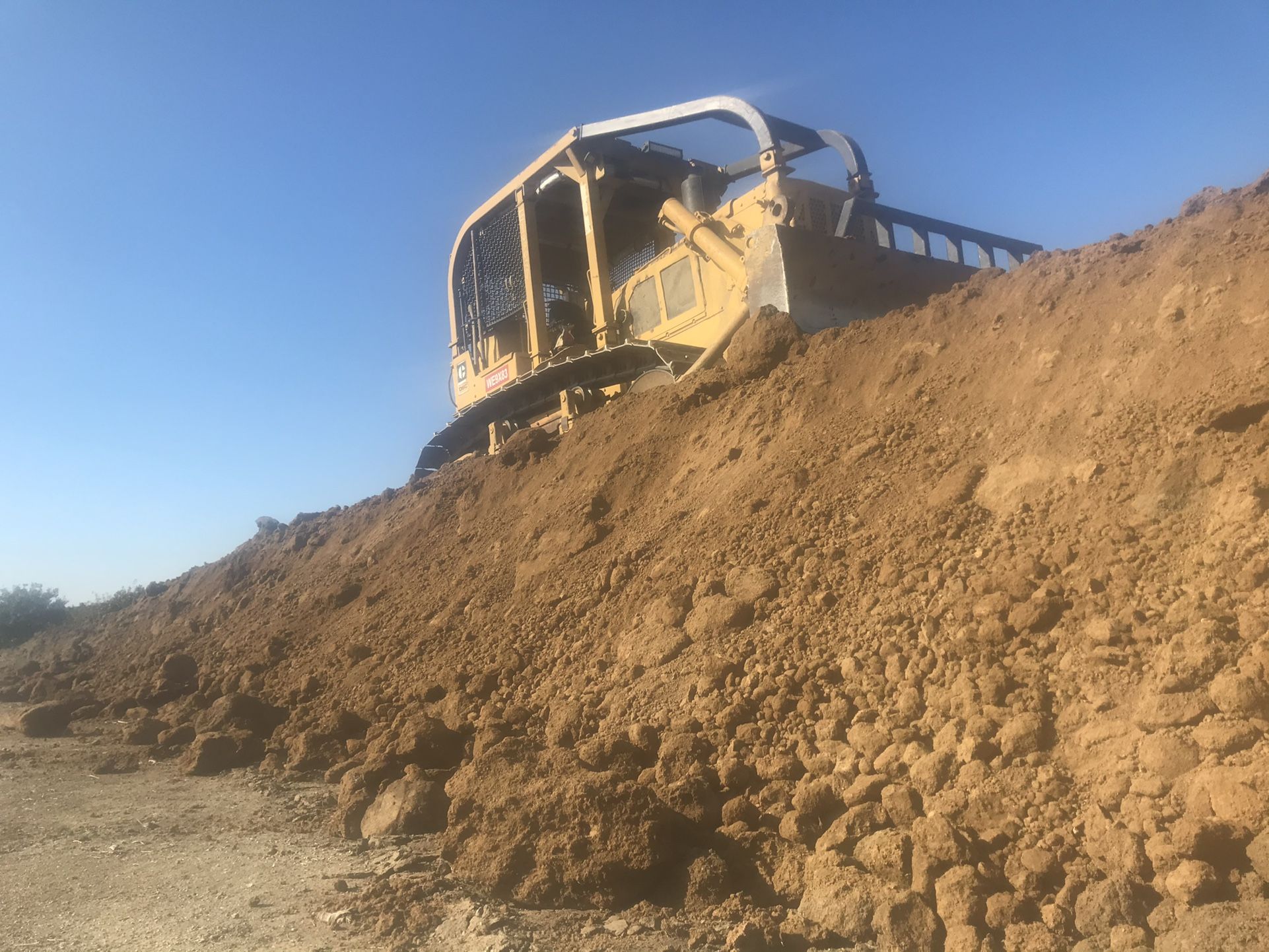 Rectors Dozer Work