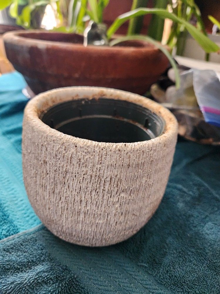 Plant Pot