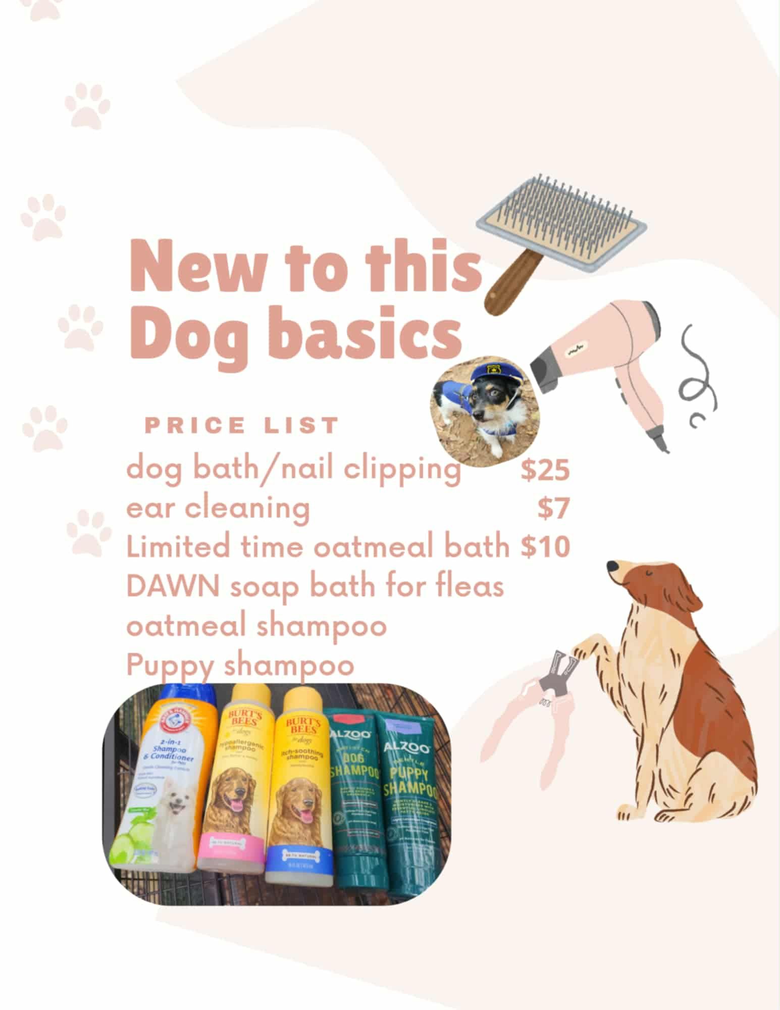 New To This Dog Basics