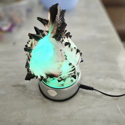 seashell light 