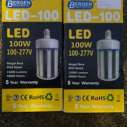 Bergen LED 100w Bulb