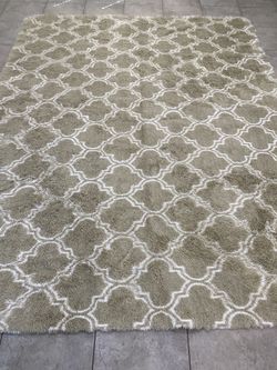 8x10 Shaggy Area Rug 