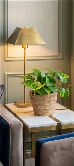 🌿 Bushy Golden Pothos Plant in 7" Woven Seagrass Planter | Healthy Indoor Houseplant