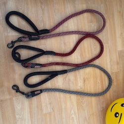 Kong Leashes 
