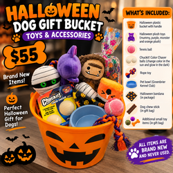 HALLOWEEN DOG GIFT BUCKET – $55