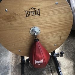 Everlast Adjustable Wall Hanging Speed Bag