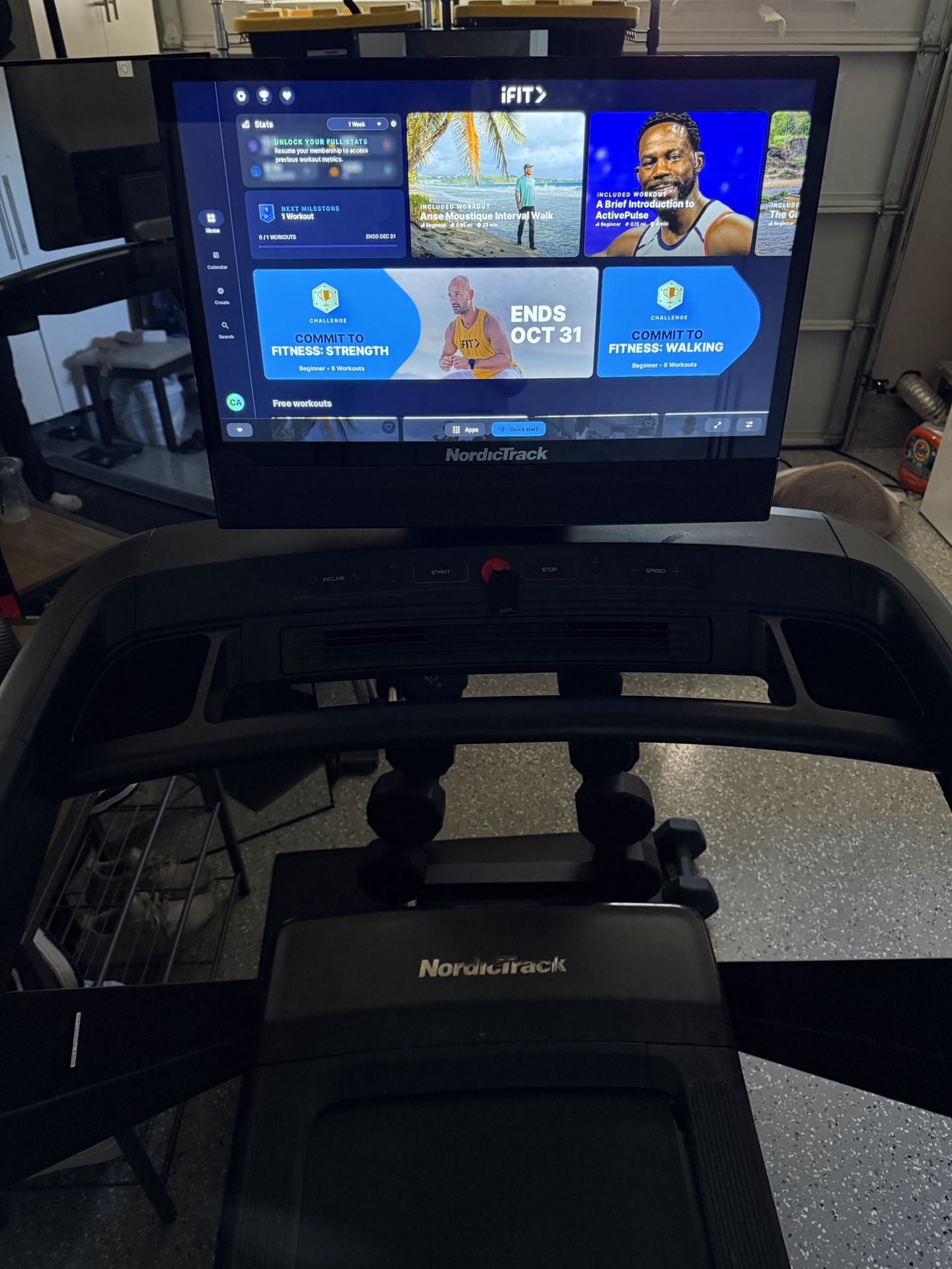 NordicTrack COMMERCIAL 2450 TREADMILL