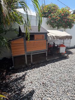 Chicken Coop
