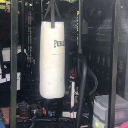 Everlast Punching Bag With Stand And Speed Bag 