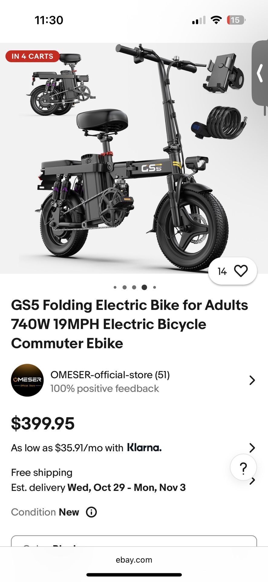 Electric Bike 