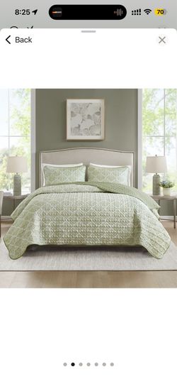 Quilt Set Twin/TwinXL