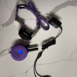 E  Collar For Dogs (shock)