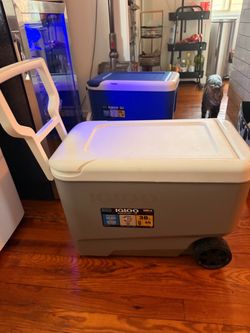 Gray igloo cooler with wheels $50