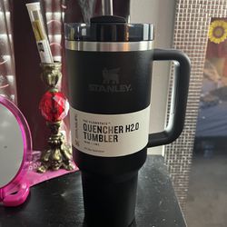Stanley Tumblr 40oz BRAND NEW NEVER USED 20$