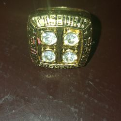 Pittsburgh Steelers Replica Superbowl Ring Size 10