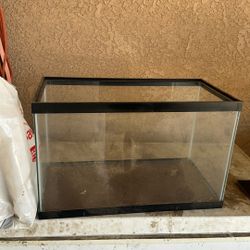 Fish Tank