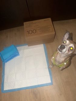 Puppy pads. Box of 100 unopened