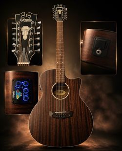 D'Angelico Premier Fulton LS 12-string acoustic-electric