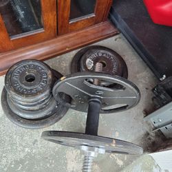 50 Lbs 