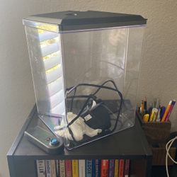 Fish Tank