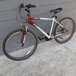 Next Amplifier26-inch  Like Now Everything Works Great 👍