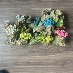 Coral Decor 