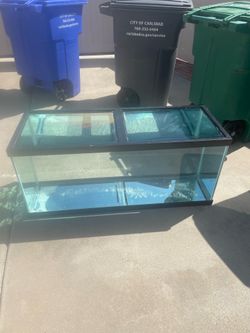 75 gallon aquarium and more