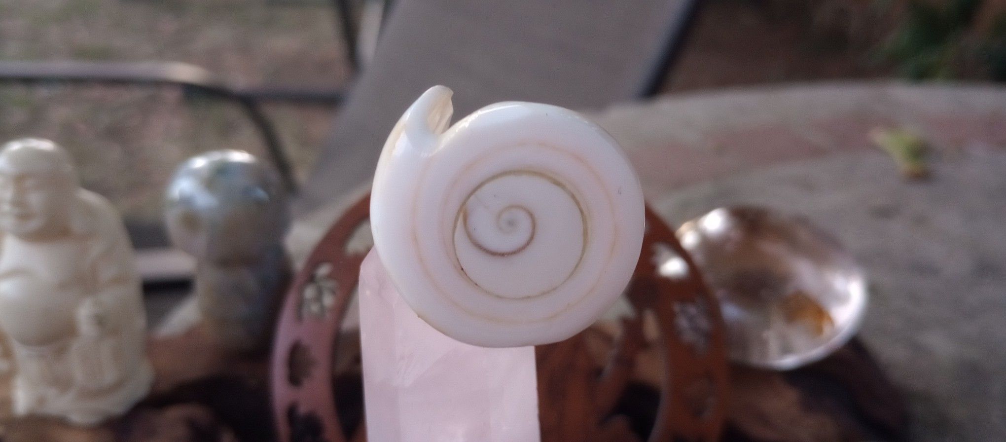 Shiva's Eye Shell Ring