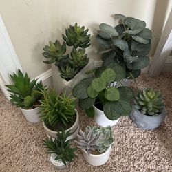 8 Various Fake Plants