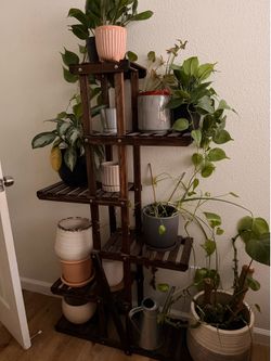Plant stands