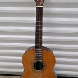 Acoustic Guitar 